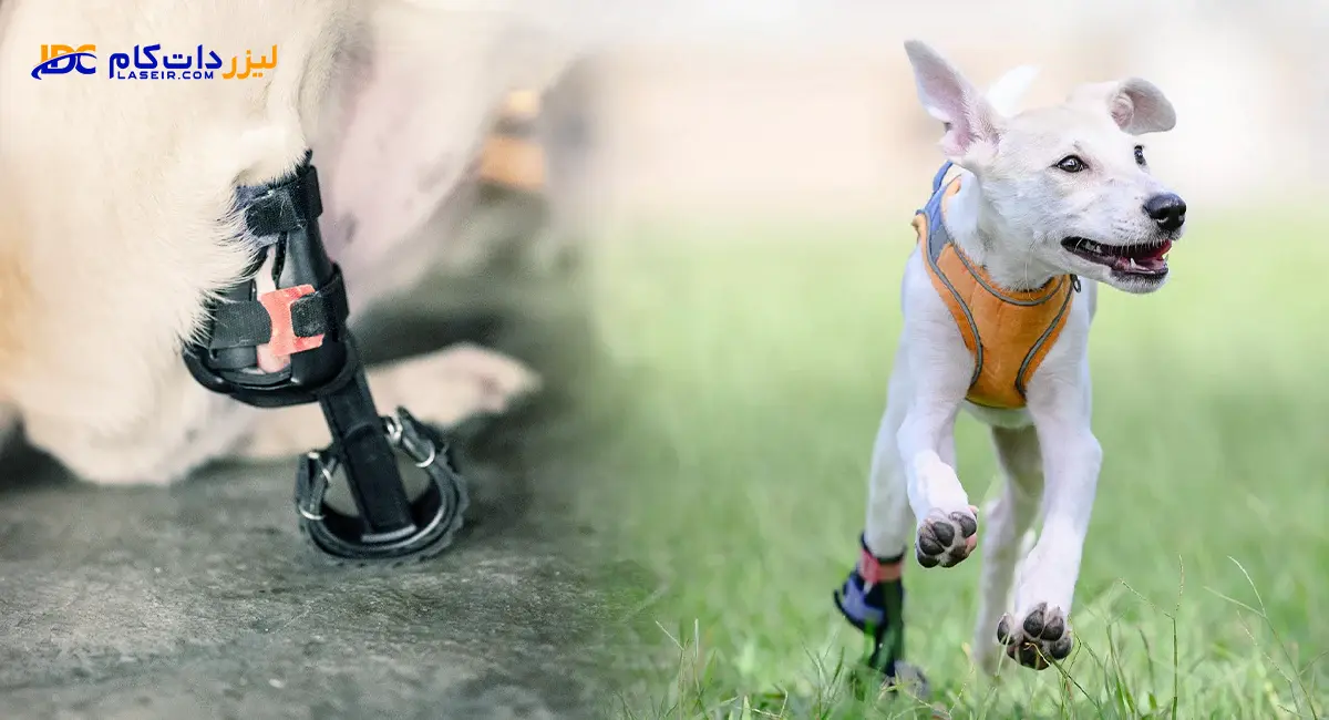 پرینتر سه بعدی Phrozen Mega 8K